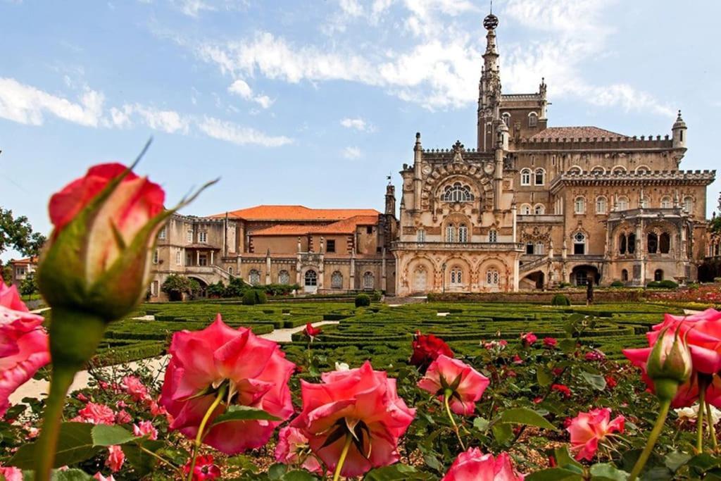 Veiga Apartment Coimbra Bagian luar foto